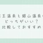 蔵王温泉と銀山温泉はどっちがいい？雪山で遊ぶか街を歩くか