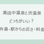 湯田中温泉と渋温泉はどっちがいい？外湯に入れる条件・駅からの近さ・宿の料金を公式情報で比較