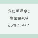 鬼怒川温泉と塩原温泉はどっちがいい？宿12軒の料金・東京からの行き方・泉質の違いを実数で比較